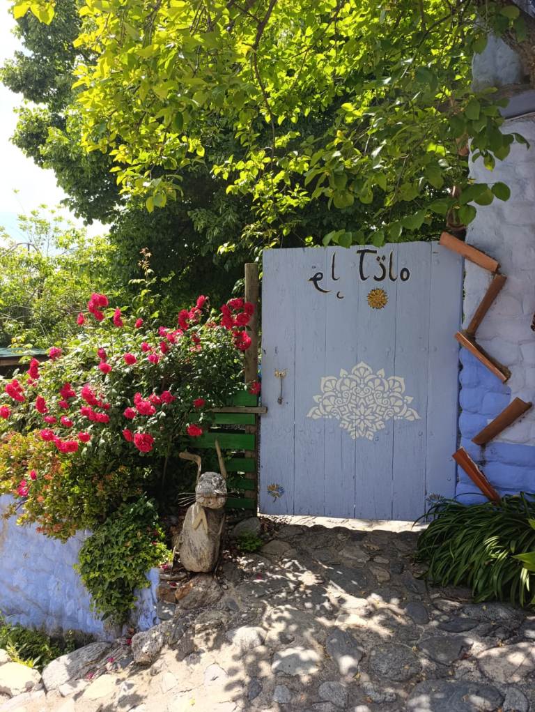 El Tilo - El brazal