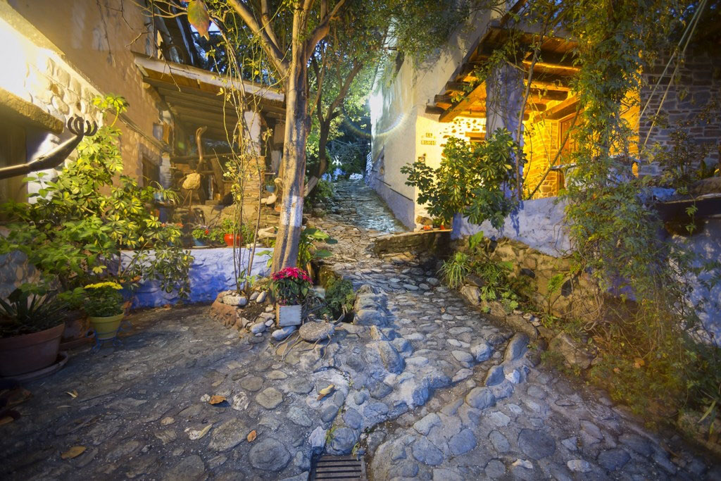 Image gallery image